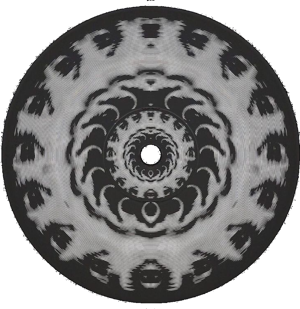 Vinyl record